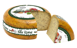 Villa Roma Villa Roma