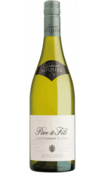 Doos: Laurent Miquel Père et Fils Sauvignon Blanc  Doos: Laurent Miquel Père et Fils Sauvignon Blanc