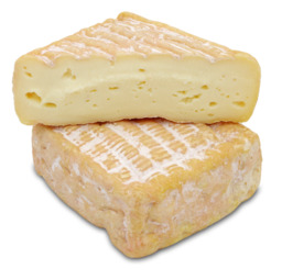 P'tit Pave Gois P'tit Pave Gois