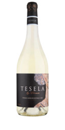 Tesela by Clunia Albillo Tesela by Clunia Albillo