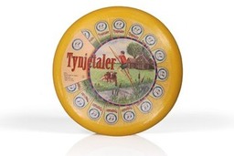 Tynjetaler Tynjetaler