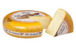 Villa Moutarde  Villa Moutarde