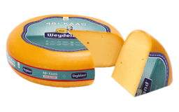 48+ Jong Belegen 48+ Jong Belegen