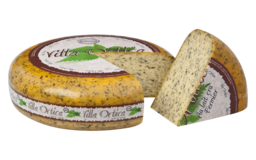 Villa Ortica  Villa Ortica