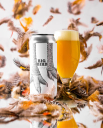 Big Bird - Trillium - Double New England IPA - 8,5%