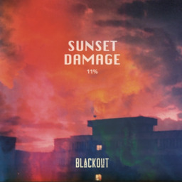 Blackout Brewing, SUNSET Damage, Stout, 11%
