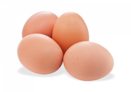 Eieren per doosjes van 10 