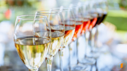 Wijnproeverij 30 oktober in Dedemsvaart  Wijnproeverij 30 oktober in Dedemsvaart